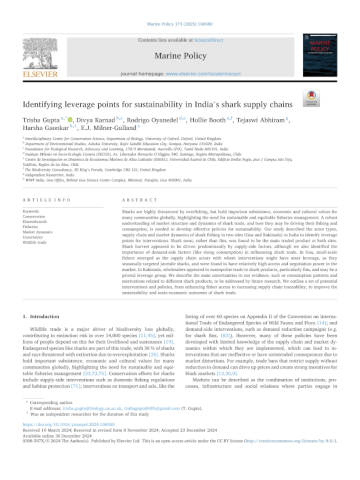 Identifying leverage points for sustainability in India’s shark supply chains