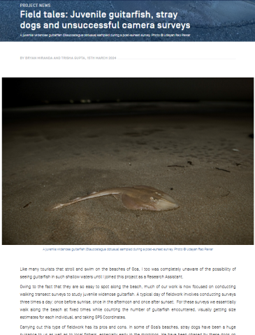 Miranda_2023_blog