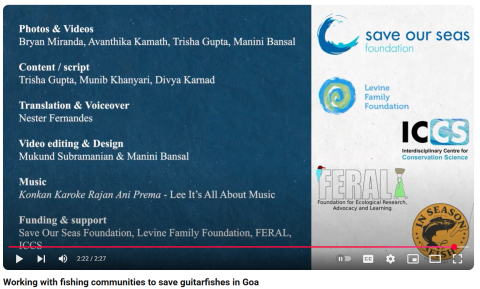 film_guitarFish_goa