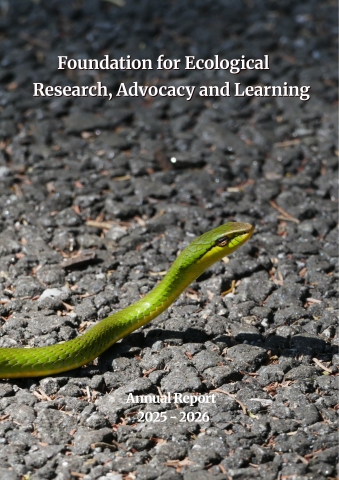 Annual Report 2025-26