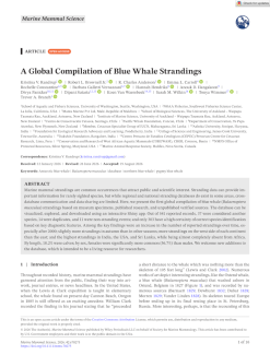 A Global Compilation of Blue Whale Strandings